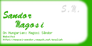 sandor magosi business card